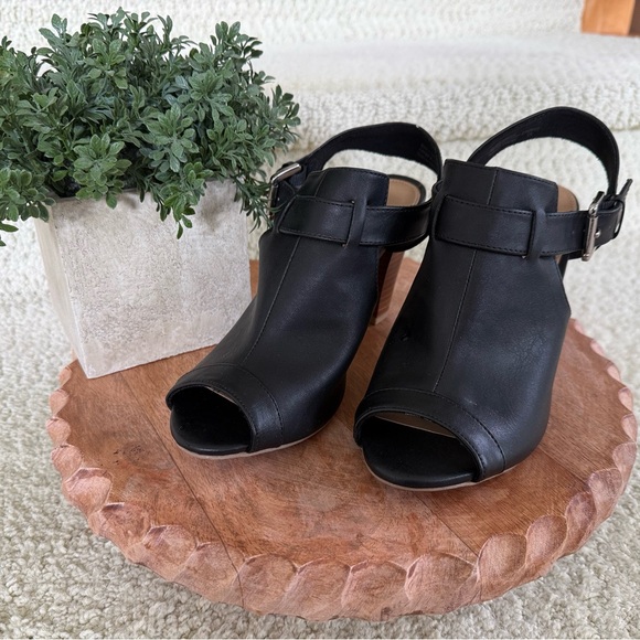 Black Women's Heeled Shoes With Buckles. - Picture 10 of 12